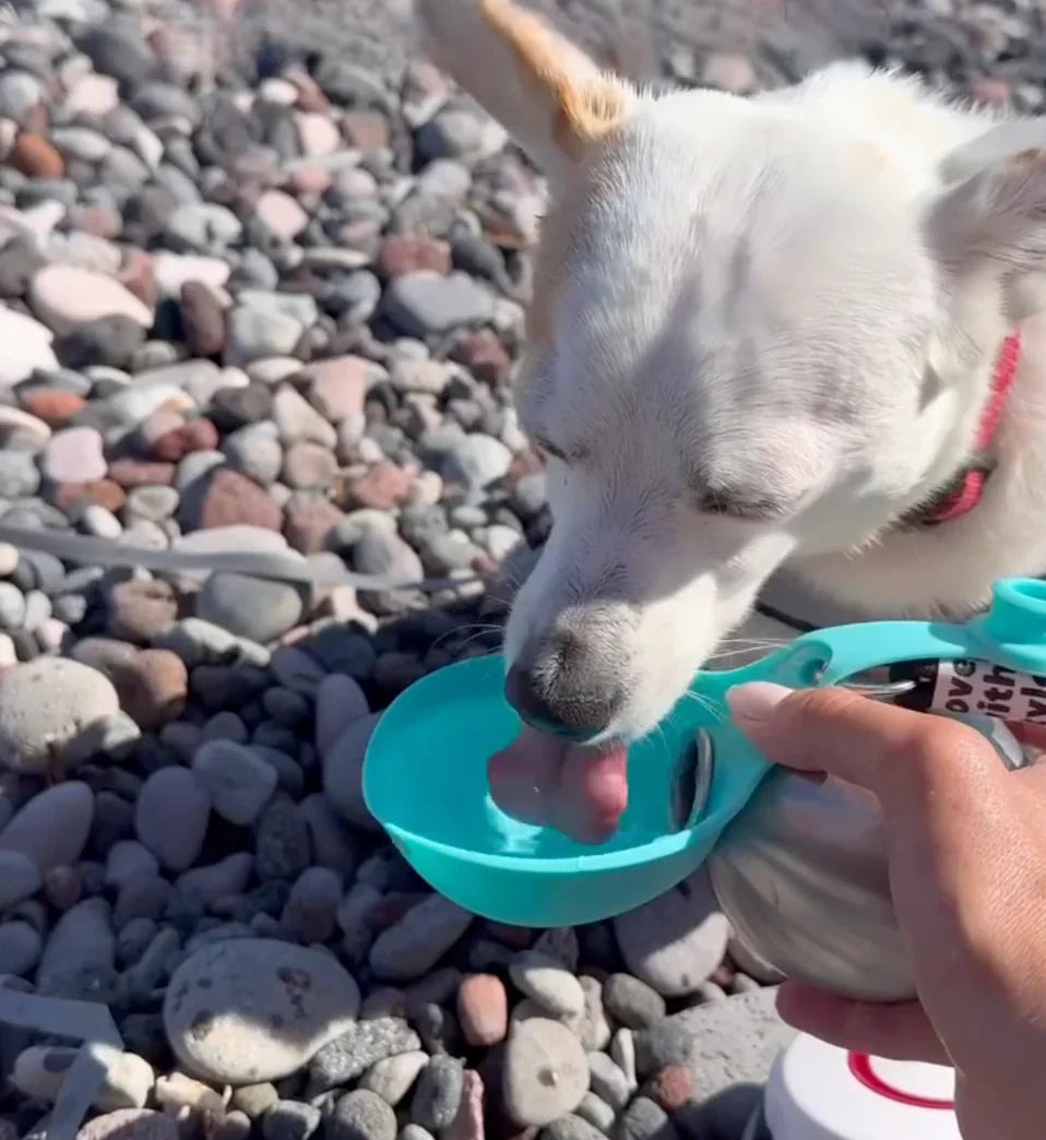 PawDrop Pro | Den smarta vattenflaskan som alltid är redo — precis som din hund.