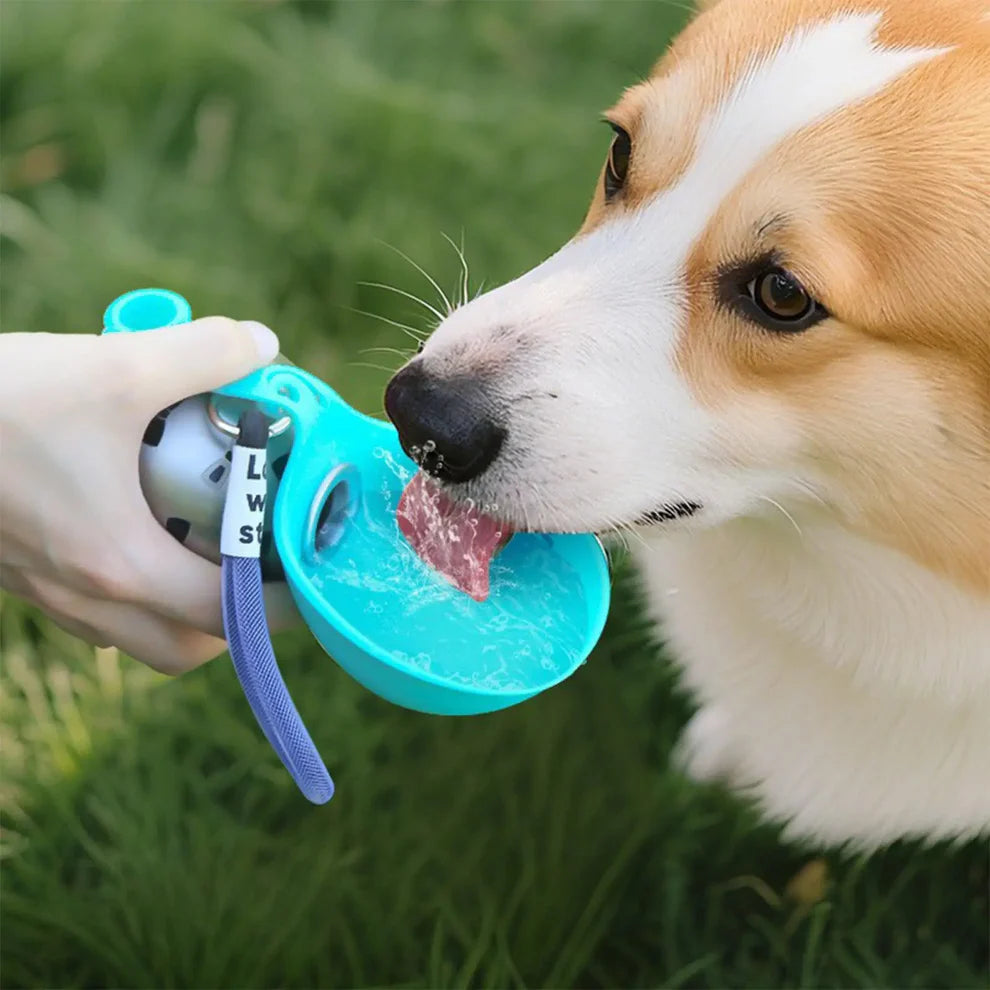 PawDrop Pro | Den smarta vattenflaskan som alltid är redo — precis som din hund.